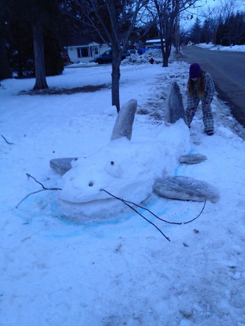 Neighborhood Snow Sculpture contest!